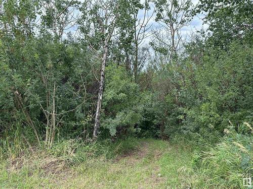 6 45522 Twp Rd 593A, Rural Bonnyville M.D., AB - Outdoor