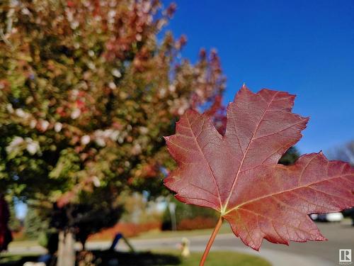 10608 140 St Nw, Edmonton, AB - Outdoor