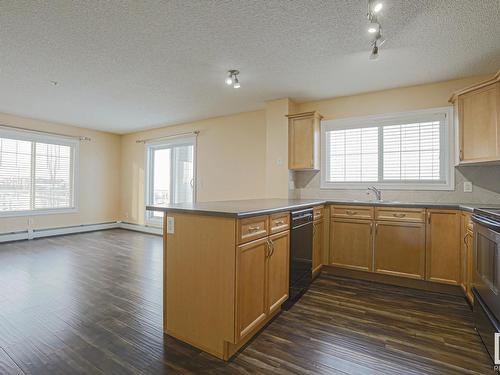 301 15211 139 Street, Edmonton, AB - Indoor Photo Showing Kitchen