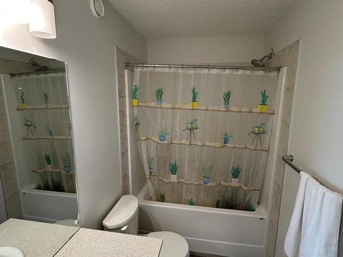 18007 71 Street, Edmonton, AB - Indoor Photo Showing Bathroom