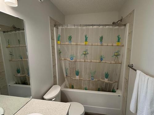 18007 71 Street, Edmonton, AB - Indoor Photo Showing Bathroom