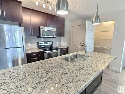 215 5510 Schonsee Drive, Edmonton, AB - Indoor Photo Showing Kitchen With Stainless Steel Kitchen With Double Sink With Upgraded Kitchen