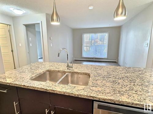 215 5510 Schonsee Drive, Edmonton, AB - Indoor Photo Showing Kitchen With Double Sink