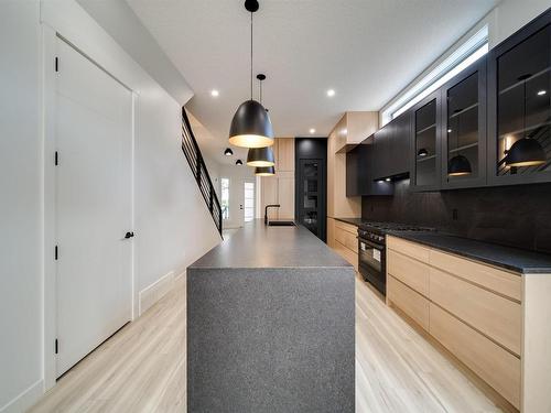 9921 87 Street, Edmonton, AB - Indoor Photo Showing Kitchen