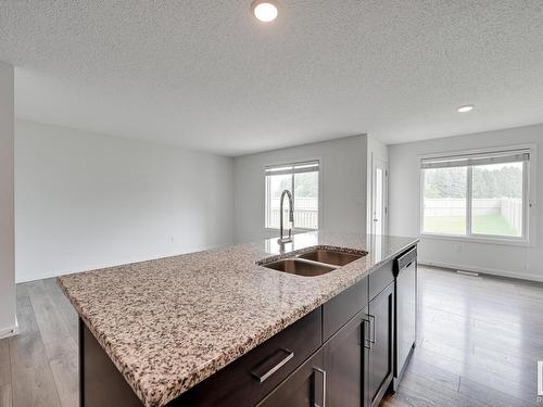 21806 91 Avenue, Edmonton, AB - Indoor Photo Showing Kitchen With Double Sink