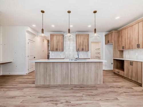 4211 206 Street, Edmonton, AB - Indoor Photo Showing Kitchen