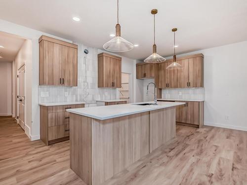 4211 206 Street, Edmonton, AB - Indoor Photo Showing Kitchen