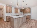 4211 206 Street, Edmonton, AB  - Indoor Photo Showing Kitchen 