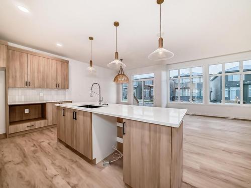 4211 206 Street, Edmonton, AB - Indoor Photo Showing Kitchen With Upgraded Kitchen