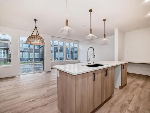 4211 206 Street, Edmonton, AB - Indoor Photo Showing Kitchen With Upgraded Kitchen