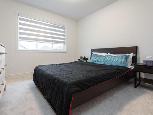 4215 206 Street, Edmonton, AB - Indoor Photo Showing Bedroom