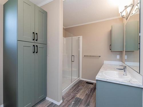 86 Meadowview Road, Morinville, AB - Indoor Photo Showing Bathroom