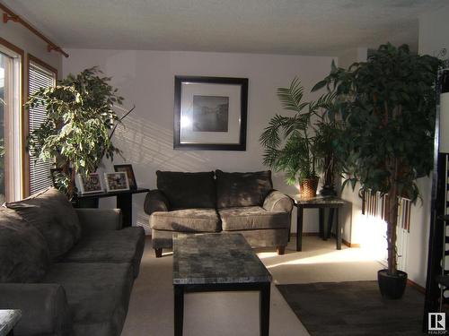 4405 52 Street, Vegreville, AB - Indoor Photo Showing Living Room