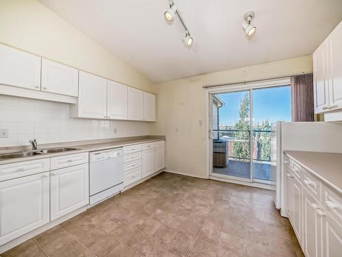 502 9131 99 Street, Edmonton, AB - Indoor Photo Showing Kitchen With Double Sink