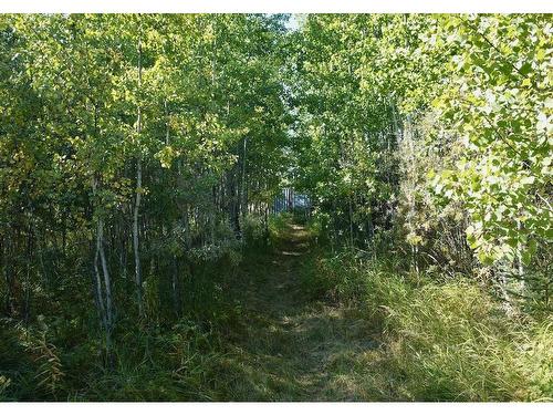 #45 53026 Hghway 31, Rural Parkland County, AB 