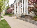 #216 226 Macewan Rd Sw, Edmonton, AB 