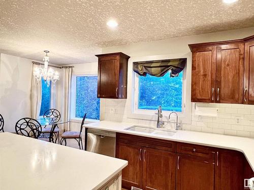 959 Lamb Crescent, Edmonton, AB - Indoor Photo Showing Kitchen With Double Sink