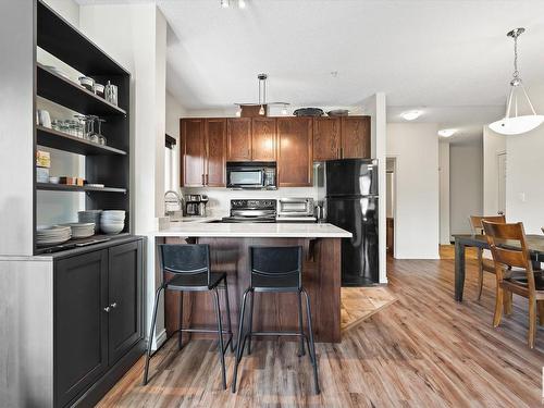 315 10235 112 Street, Edmonton, AB - Indoor Photo Showing Kitchen