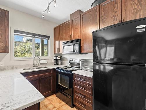 315 10235 112 Street, Edmonton, AB - Indoor Photo Showing Kitchen With Double Sink