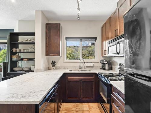 315 10235 112 Street, Edmonton, AB - Indoor Photo Showing Kitchen With Double Sink