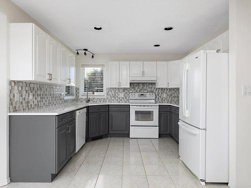 15936 59 Street, Edmonton, AB - Indoor Photo Showing Kitchen With Double Sink