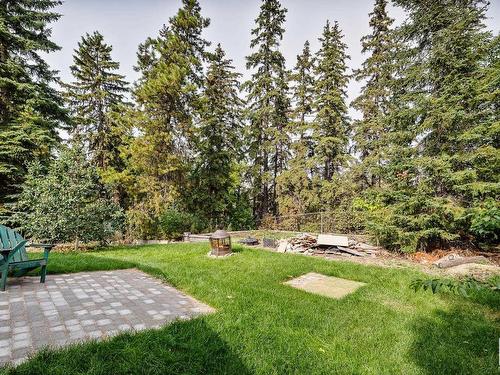 16 Quesnell Crescent, Edmonton, AB - Outdoor With Backyard