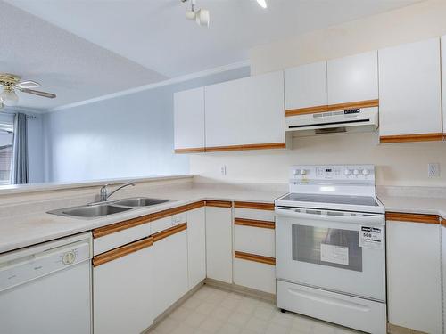 10316 142 Street, Edmonton, AB - Indoor Photo Showing Kitchen With Double Sink