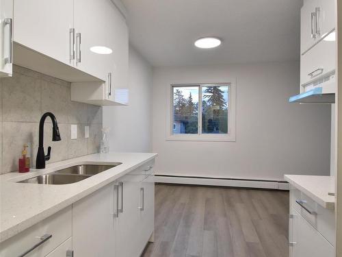 303 12921 127 Street Nw, Edmonton, AB - Indoor Photo Showing Kitchen With Double Sink