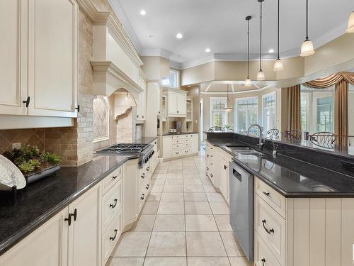 16 Wedgewood Crescent, Edmonton, AB - Indoor Photo Showing Kitchen With Upgraded Kitchen