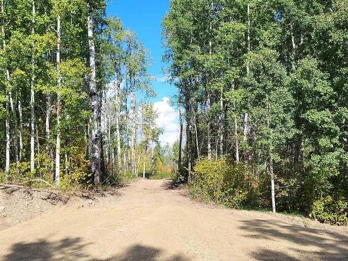 5018B Trail Of 1898, Rural Lac Ste. Anne County, AB 