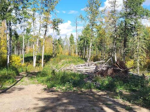 5018B Trail Of 1898, Rural Lac Ste. Anne County, AB 