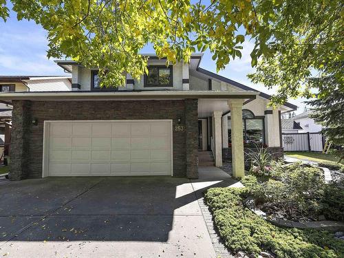 253 Heagle Crescent, Edmonton, AB - Outdoor