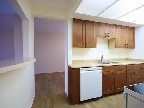 217 4404 122 Street, Edmonton, AB - Indoor Photo Showing Kitchen With Double Sink