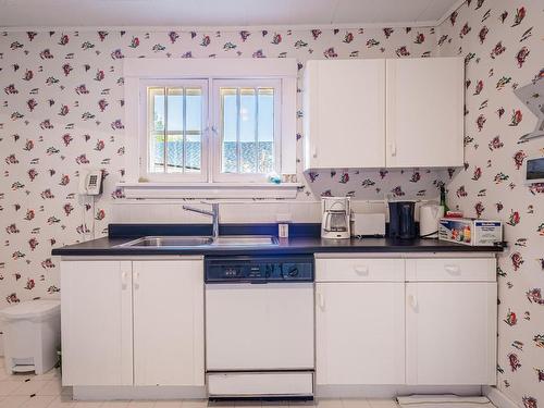 11646 94 Street, Edmonton, AB - Indoor Photo Showing Kitchen With Double Sink