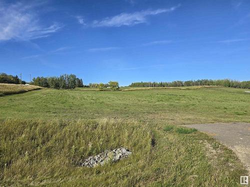 30 53413 Rge Road 274, Rural Parkland County, AB 