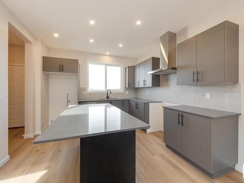 22419 88 Avenue, Edmonton, AB - Indoor Photo Showing Kitchen