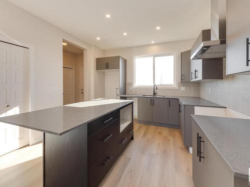 22419 88 Avenue, Edmonton, AB - Indoor Photo Showing Kitchen