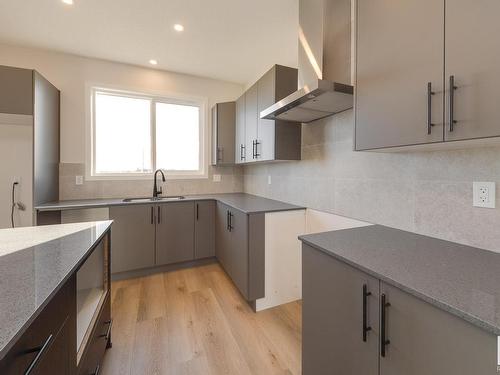 22419 88 Avenue, Edmonton, AB - Indoor Photo Showing Kitchen With Double Sink