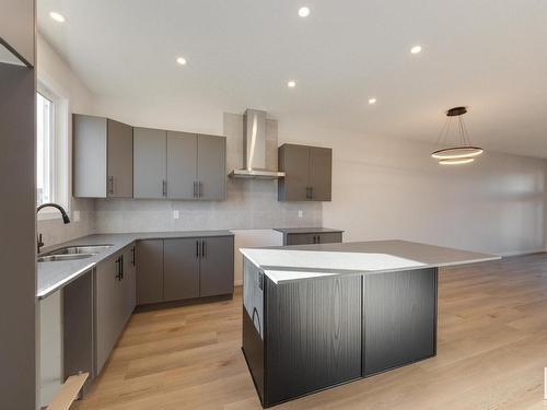 22419 88 Avenue, Edmonton, AB - Indoor Photo Showing Kitchen With Double Sink