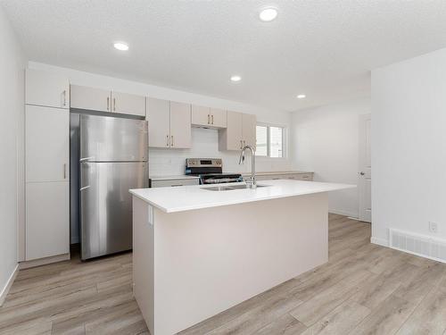 136 1530 Tamarack Boulevard, Edmonton, AB - Indoor Photo Showing Kitchen With Double Sink