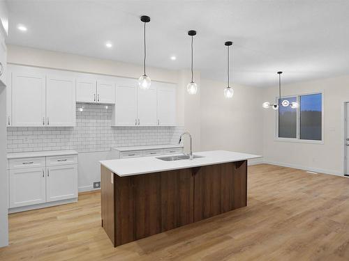 1615 11 Avenue, Edmonton, AB - Indoor Photo Showing Kitchen With Upgraded Kitchen