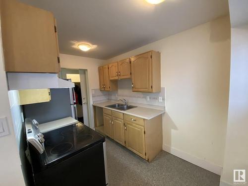 11839 45 Street, Edmonton, AB - Indoor Photo Showing Kitchen With Double Sink