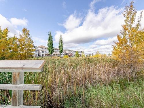 3219 31 Avenue, Edmonton, AB - Outdoor With View