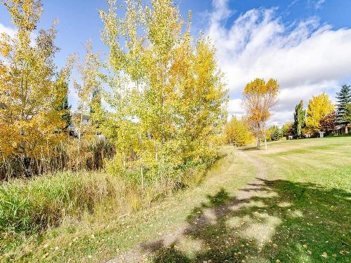 3219 31 Avenue, Edmonton, AB - Outdoor With View