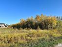 #90 50535 Range Road 233, Rural Leduc County, AB 