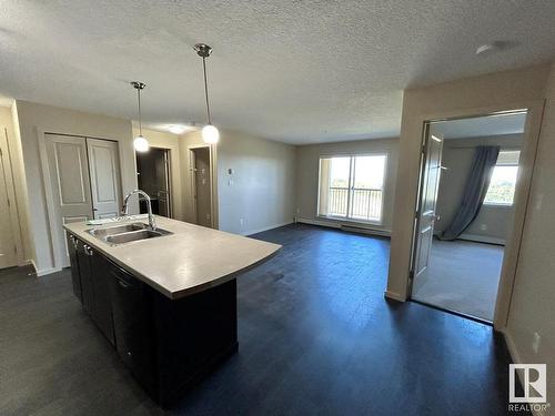 361 1196 Hyndman Road, Edmonton, AB - Indoor Photo Showing Kitchen With Double Sink