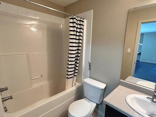 361 1196 Hyndman Road, Edmonton, AB - Indoor Photo Showing Bathroom