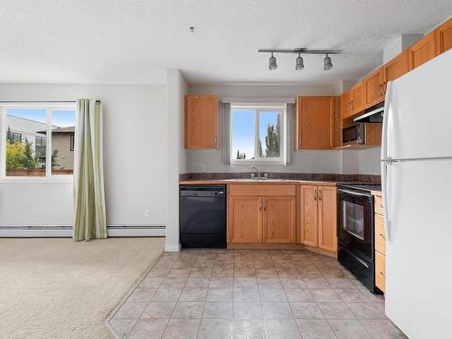 106 3425 19 Street, Edmonton, AB - Indoor Photo Showing Kitchen