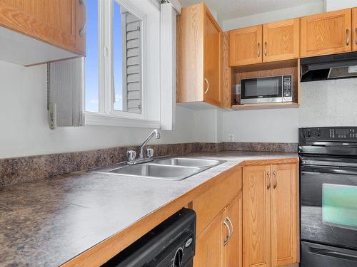 106 3425 19 Street, Edmonton, AB - Indoor Photo Showing Kitchen With Double Sink