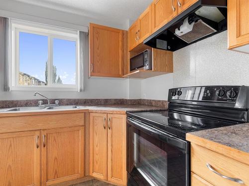 106 3425 19 Street, Edmonton, AB - Indoor Photo Showing Kitchen With Double Sink